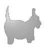 Karton mit Wabenstruktur in Hund-Form konturgefräst <br>einseitig 4/0-farbig bedruckt